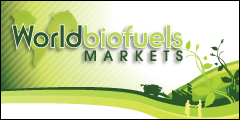 World Biofuels Markets