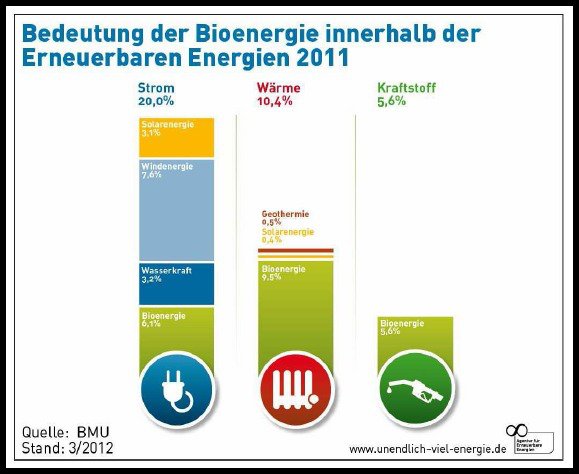 Grafik zeigt Anteile der Bioenergie im Strom Wärme und Kraftstoffmarkt