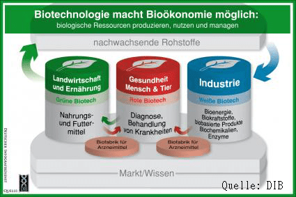 Biotechnologie und BioÖkonomie