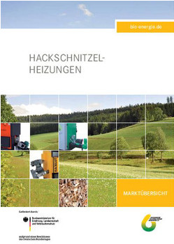 Cover Marktübersicht Hackschnitzel Heizungen 2012