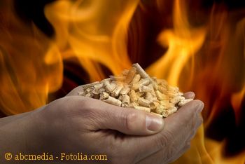 Heizen mit Hackschnitzeln oder Holzpellets Bild zum Artikel Heizen mit Hackschnitzel und Pellets