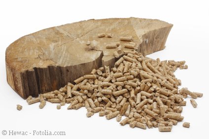 Holzartige Bioenergie Foto holzartige Bioenergie