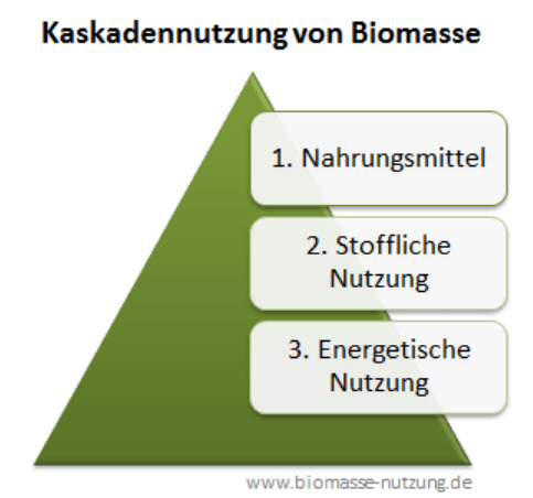 Kaskadennutzung-Biomasse