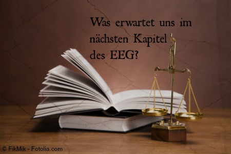 Buch EEG Novelle