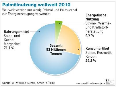 Palmölnutzung weltweit 2010 Grafik Übersicht Palmöl Verwendung global 2010
