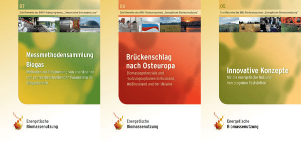 Publikation Bioenergieforschung