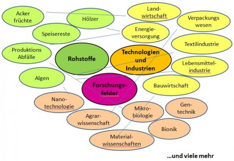 Übersicht von Biomassemärkten und Branchen