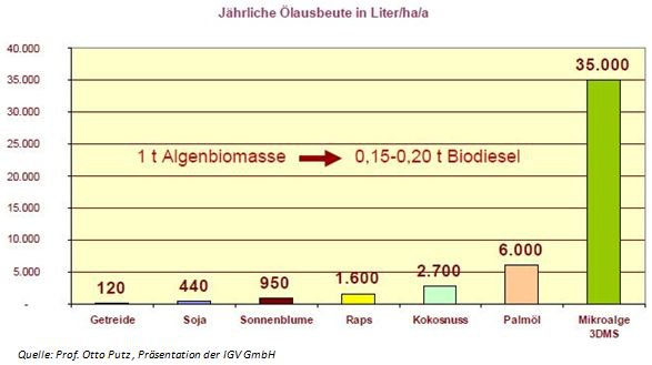 Übersicht von Pflanzenölgehalten wie Algen