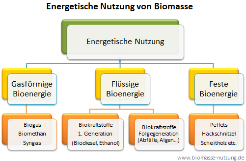 Stoffliche und energetische Biomasse Nutzung