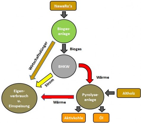 Biogas Pyrolyse Kombination