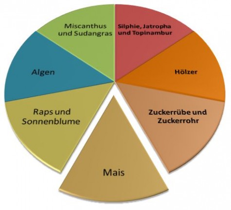 12 Energiepflanzen als Diagramm zur Übersicht