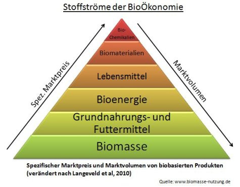 Biomasse Nachwachsende Rohstoffe und BioÖkonomie ihr Marktvolumen und Marktpreis