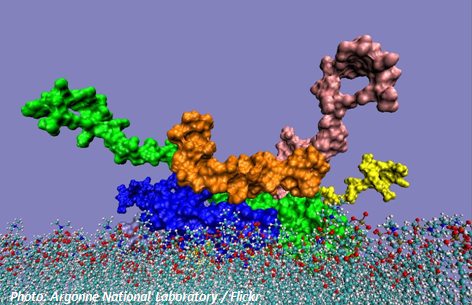 Mikroskopaufnahme Biokunststoff für Biomaterial und Verbundstoffe